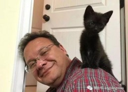 娱乐吃瓜酱男朋友不如猫,揭秘娱乐圈中的“喵星人”魅力