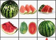 吃瓜娱乐背景板图片素材