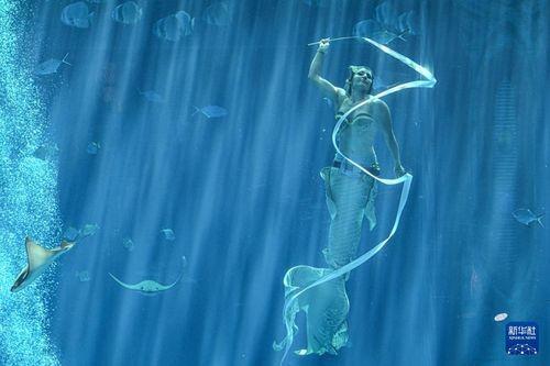 人鱼 2023,探寻海洋精灵的奇幻之旅