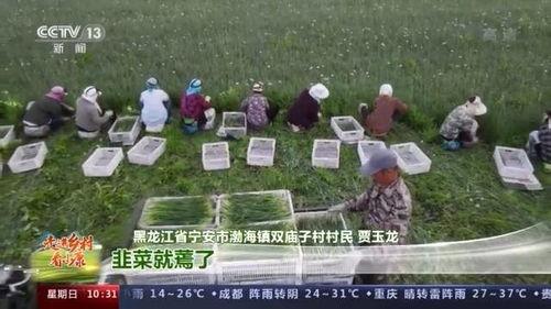 60年代我靠空间发家致富,太空征途上的财富传奇